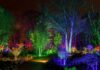 RHS Bridgewater Glow 2025: the ultimate guide to dates, tickets, parking & what to expect RHS Bridgewater Glow 2025