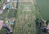 The Ultimate York Maze Guide: Opening Times, Ticket Prices & Insider Tips York Maze