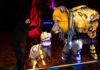 Yuletide at Tatton Park 2025: Light Trail Tickets, Times, Parking & Tips Yuletide at Tatton Park 2025