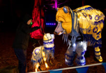 Yuletide at Tatton Park 2025: Light Trail Tickets, Times, Parking & Tips Yuletide at Tatton Park 2025